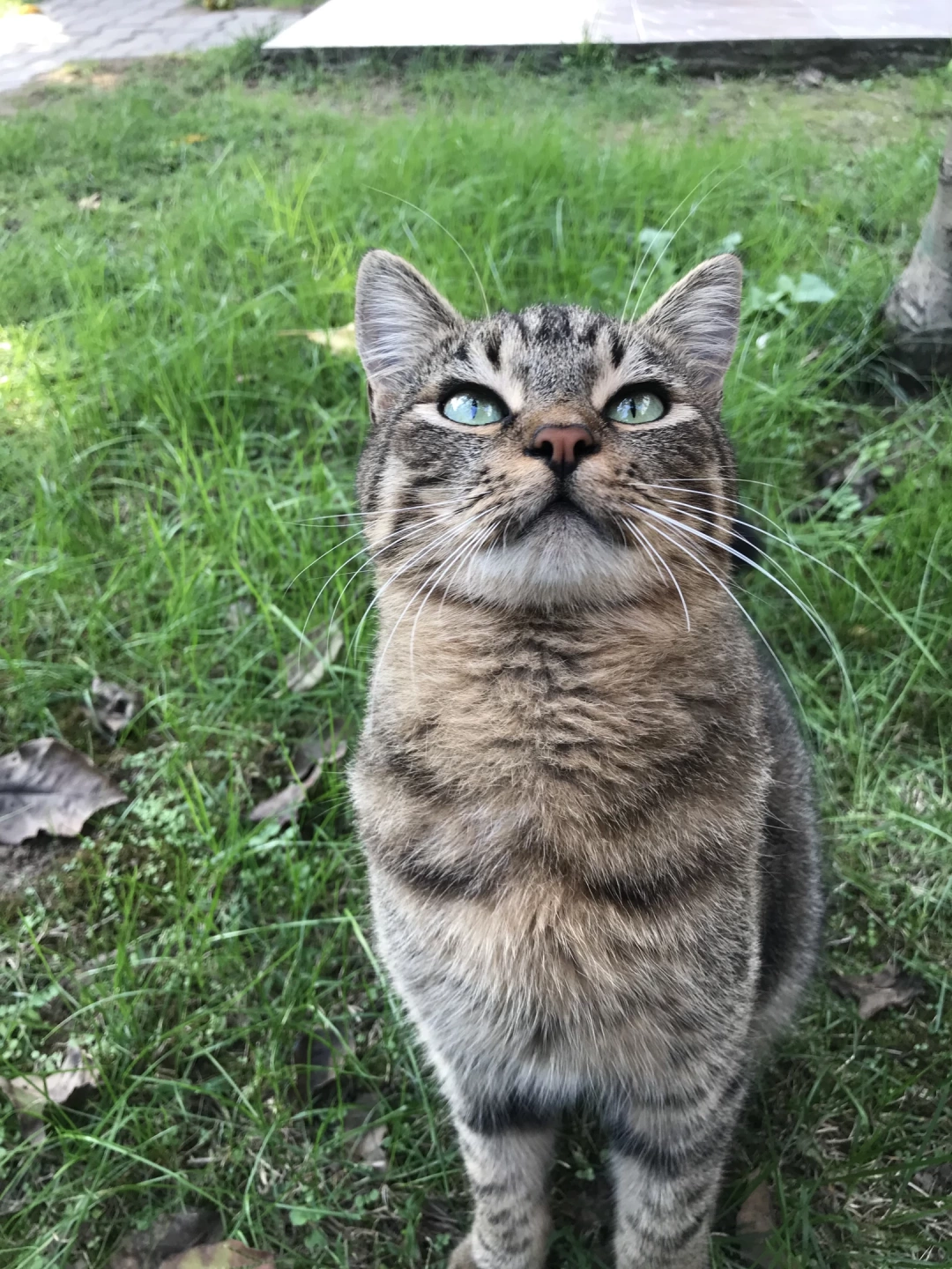 kocaeli-izmit-orduevi-halkevi-izmitcarsi-sahil-deniz-heykel-basiskele-yuvacik-sekapark-kolordu-sekakamp-akmese / 4869