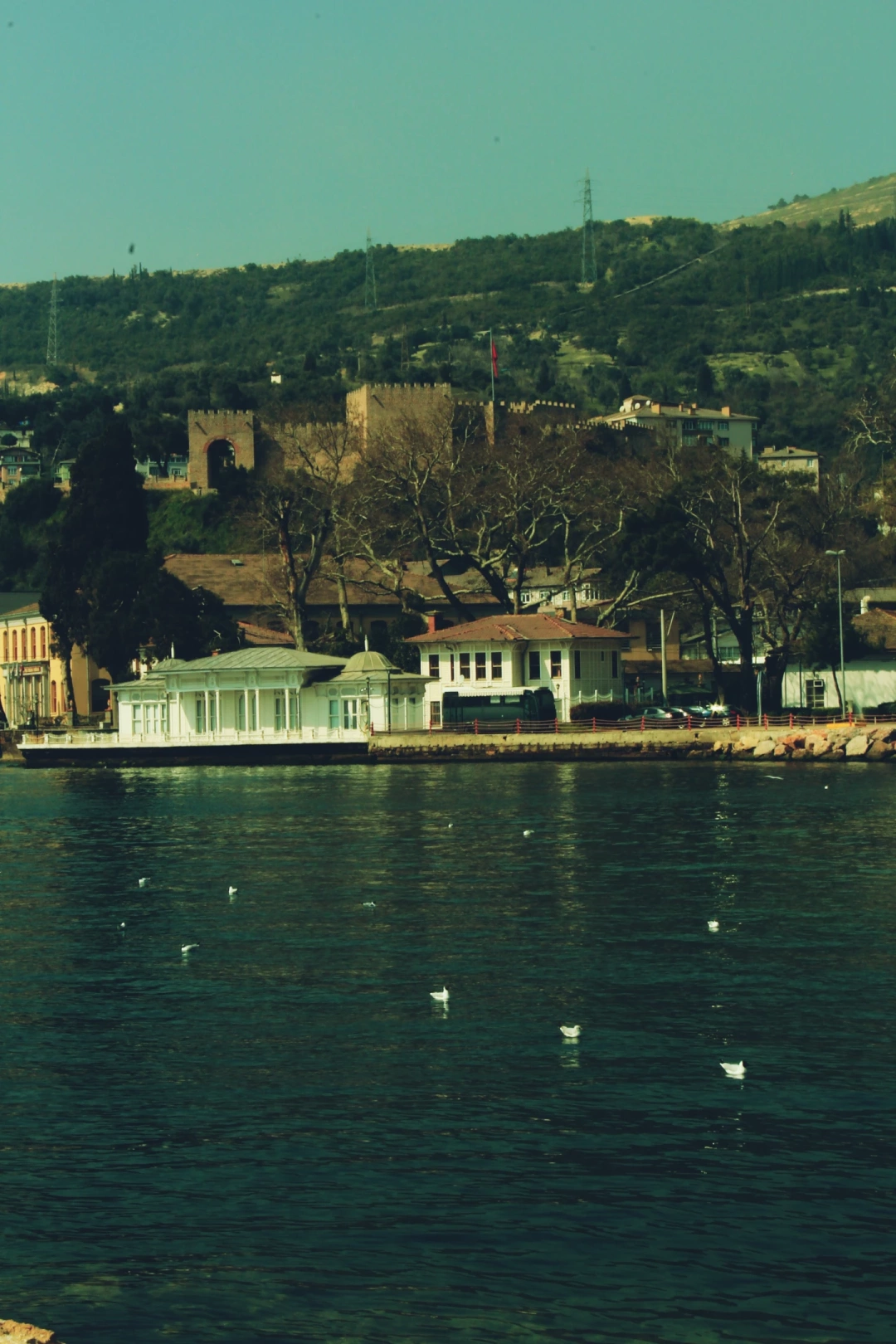 kocaeli-hereke-manzara / 11025