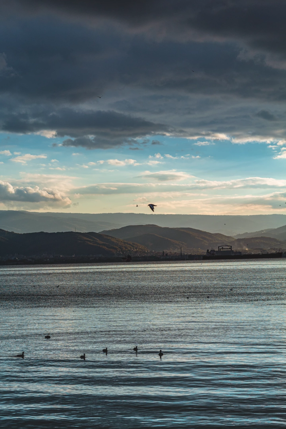 kocaeli-izmit-korfez / 1325