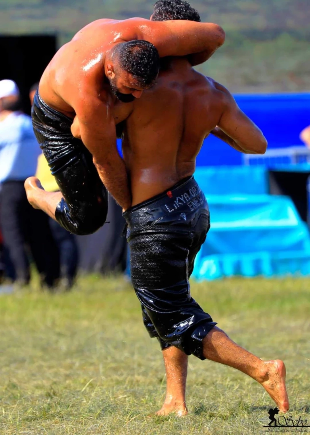 sirtlanma / 6869