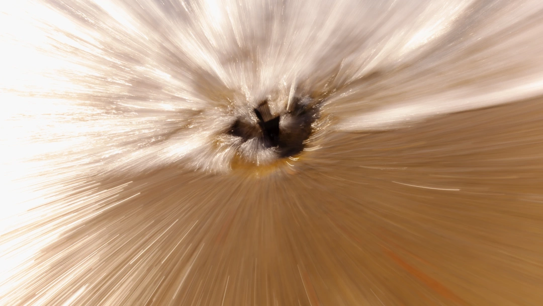 kumsal-deniz-su / 16369