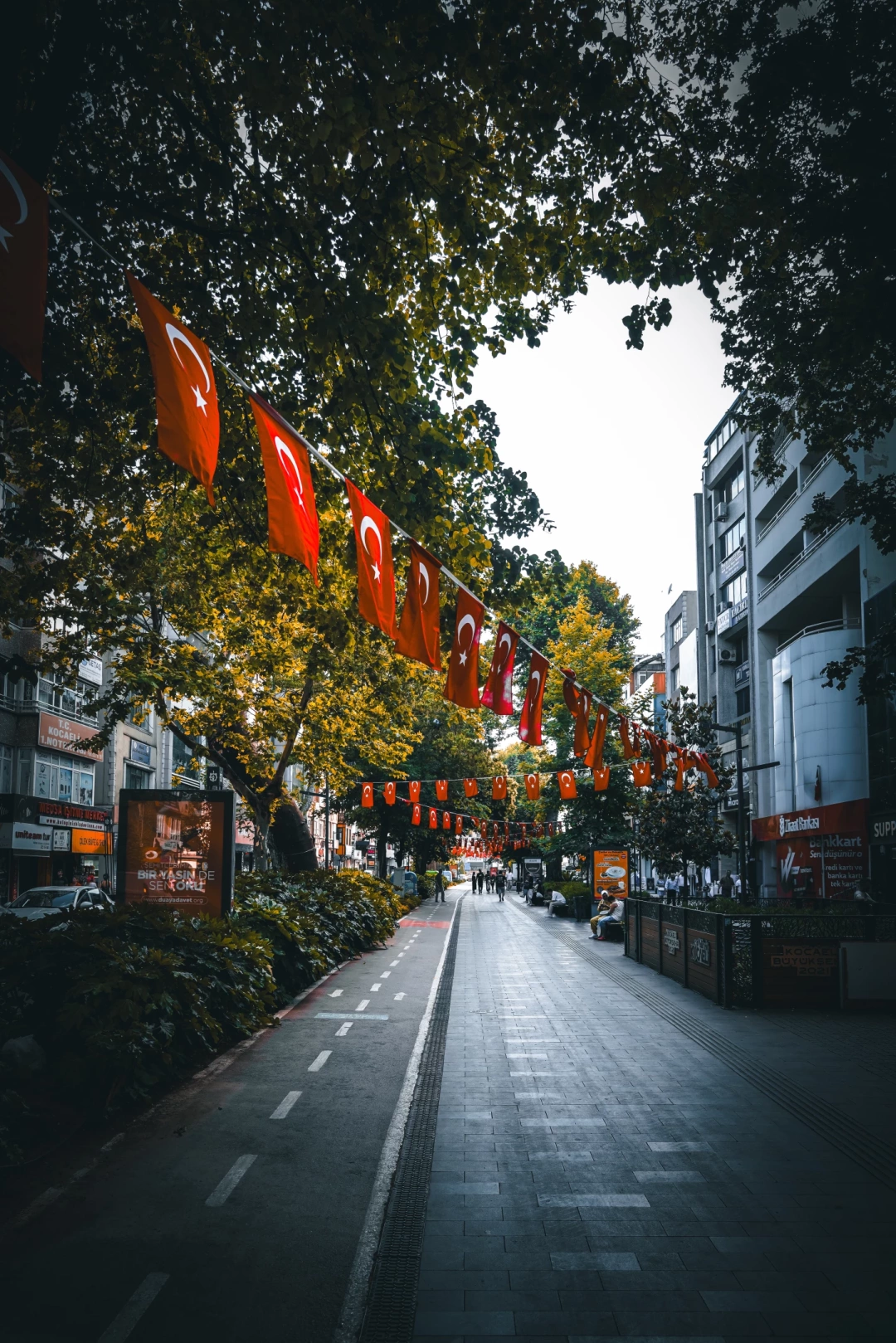 esme-kartepe-halkevi-kocaeli-izmit-sekaparkyuruyusyoluorduevi / 15525