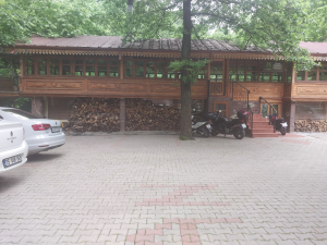 masukiye / 13551