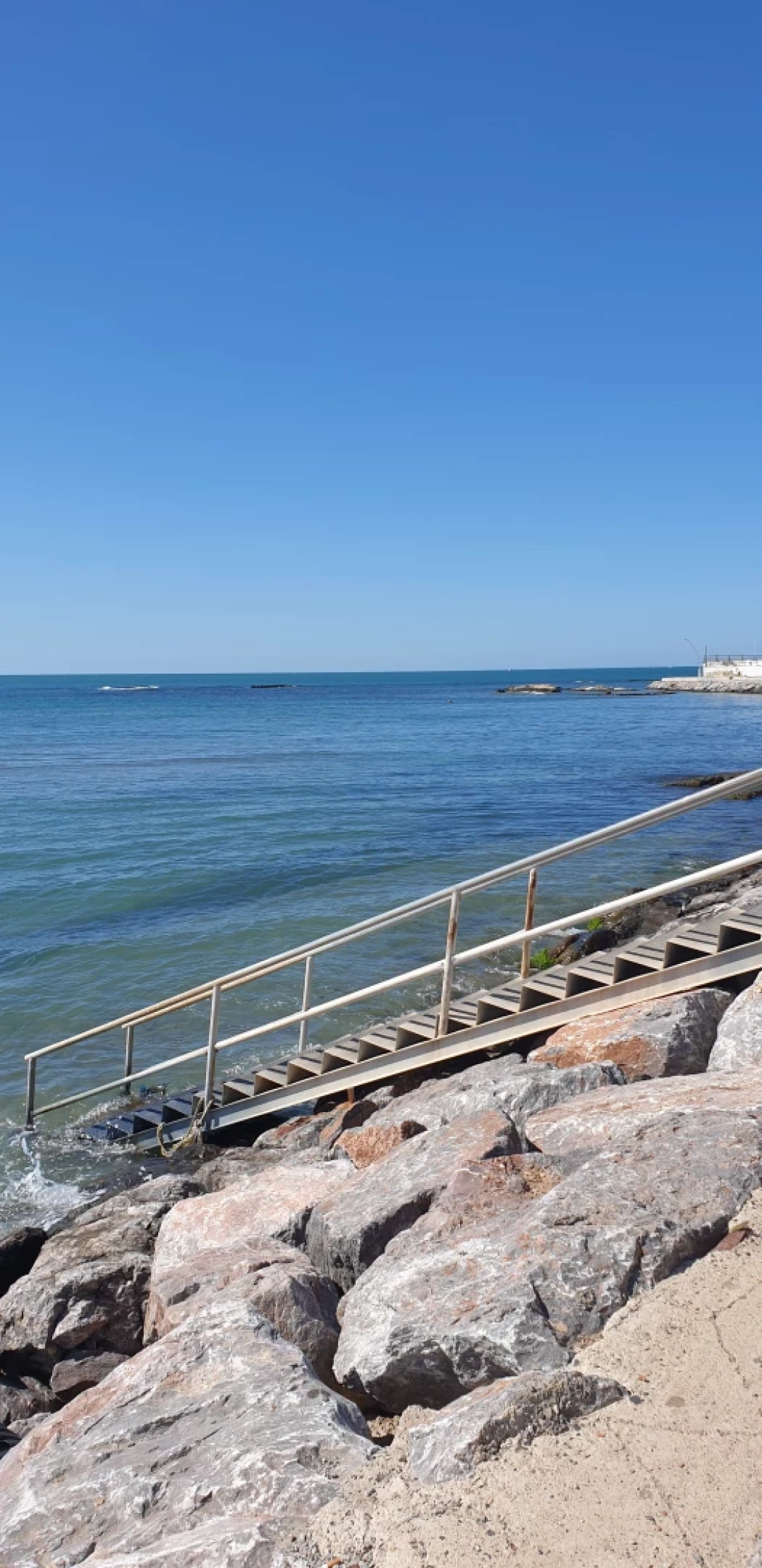 kandiracebeci / 12225