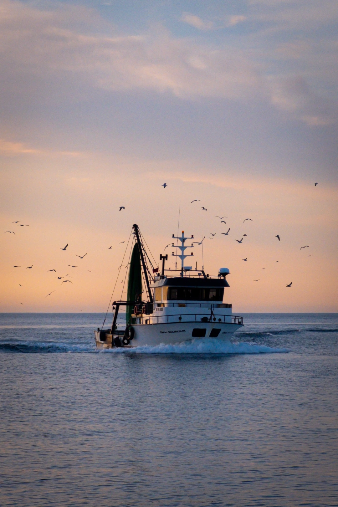 kefken-balikci-balik-balik-av-gokyuzu-kandira-ticaret-deniz-karadeniz-kefken-kerpe-kbb-kocaeli-tekne-liman / 7971