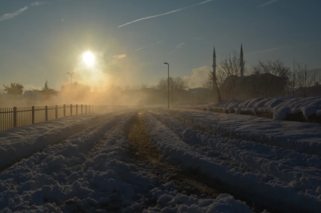 kartepede-kis / 8927