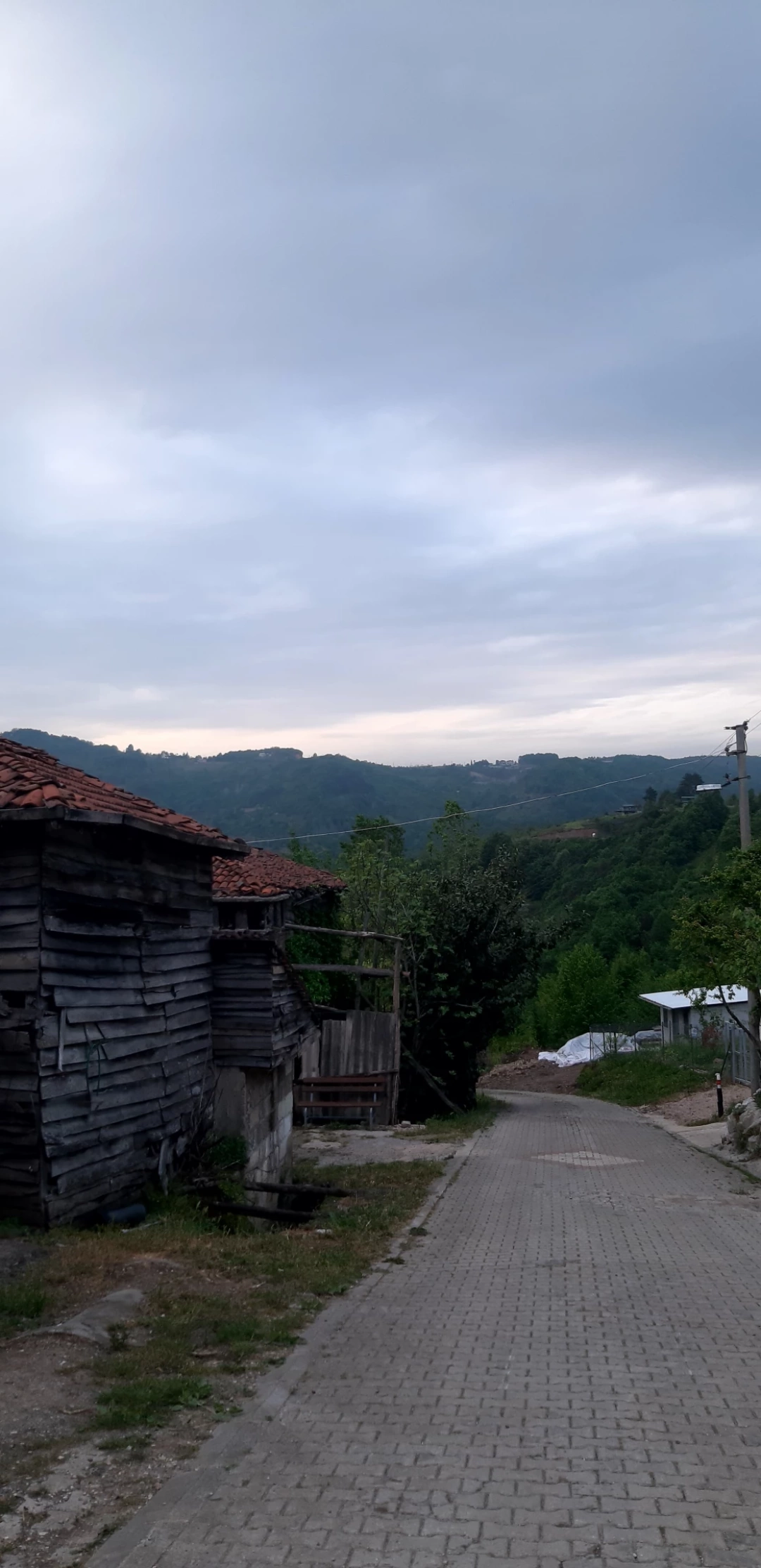 servetiye-koy / 11871