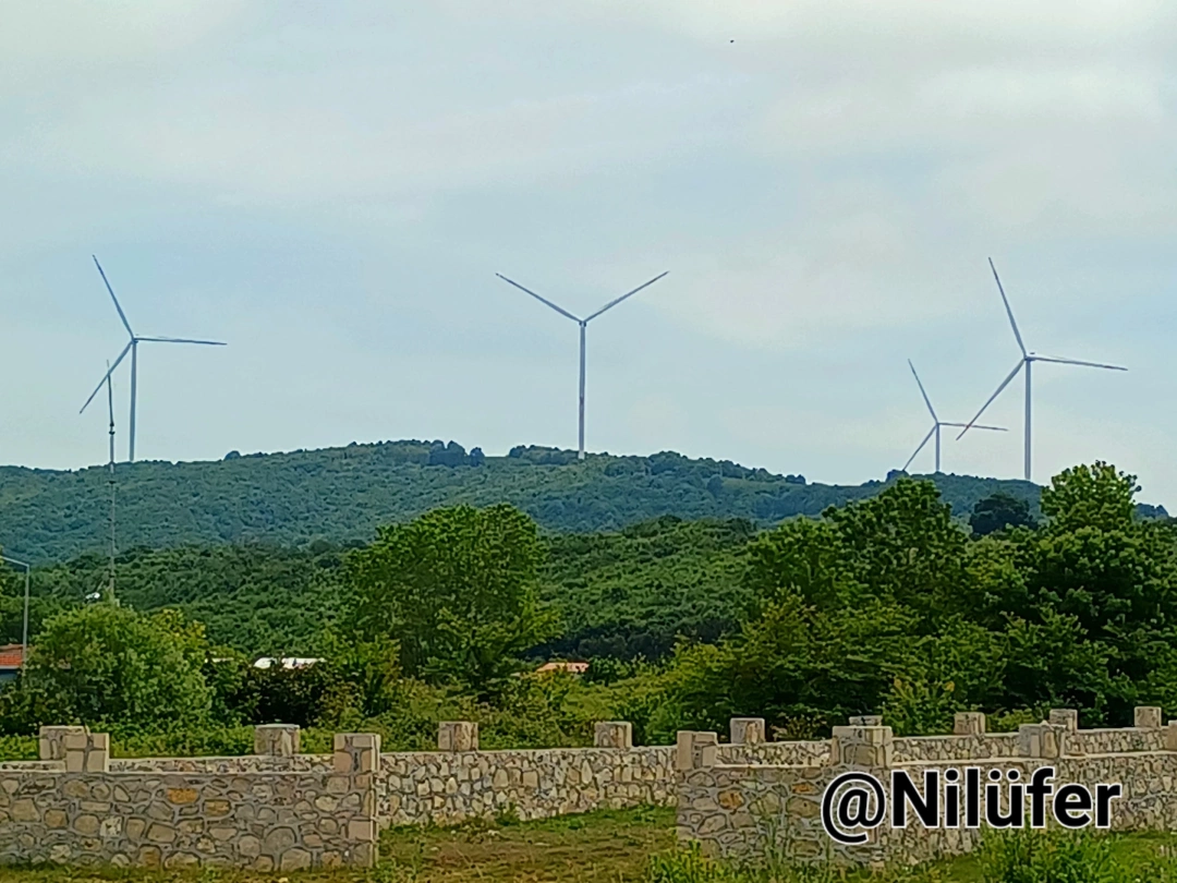 kandira-bagirganli-koyu / 14827