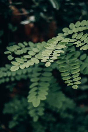 details / 6353