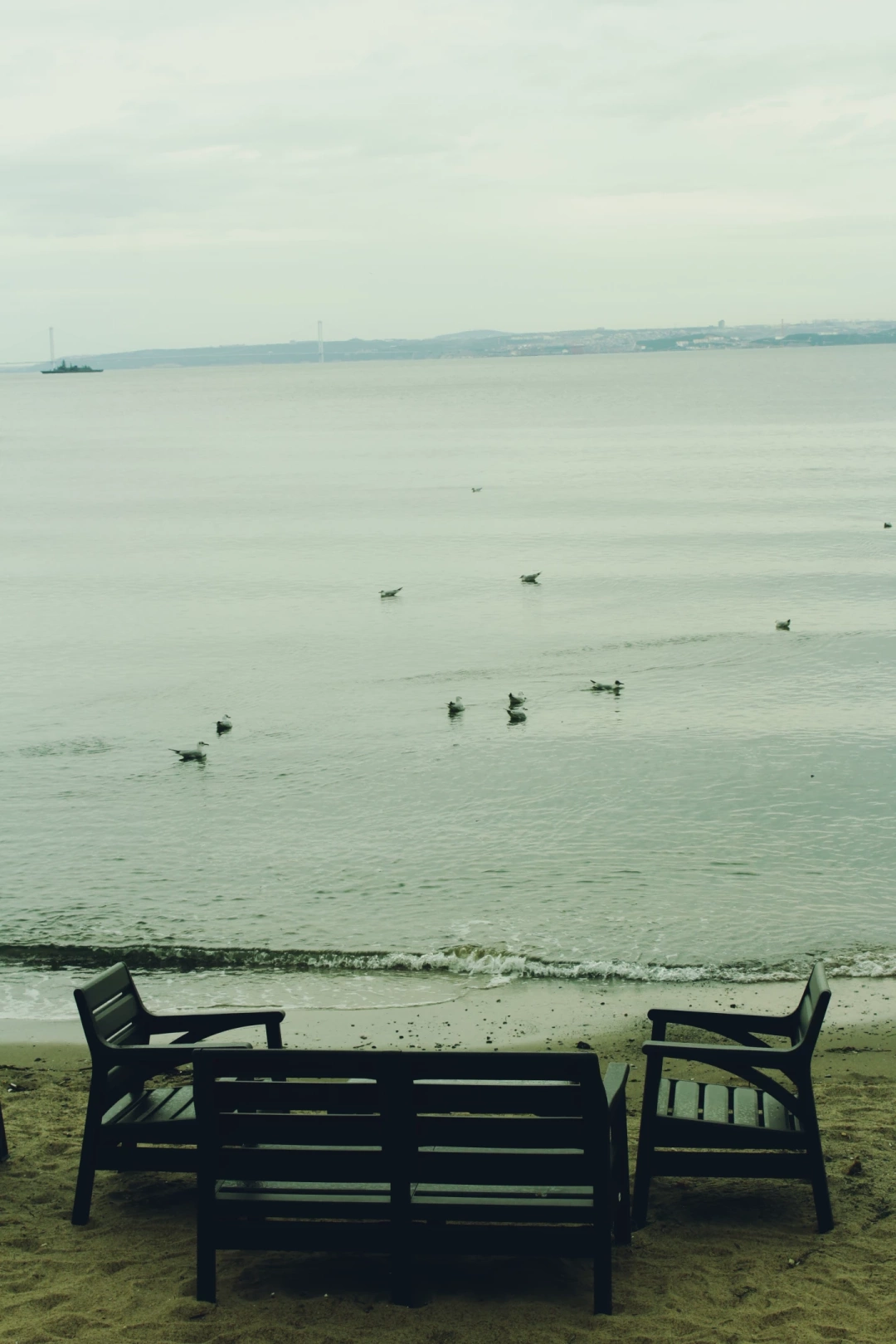 kocaelikaramursel-eregli / 10330
