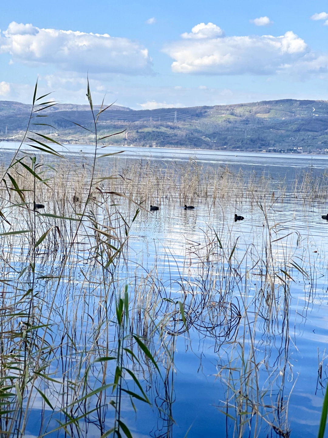 sakinlik-sapanca-izmit / 9630