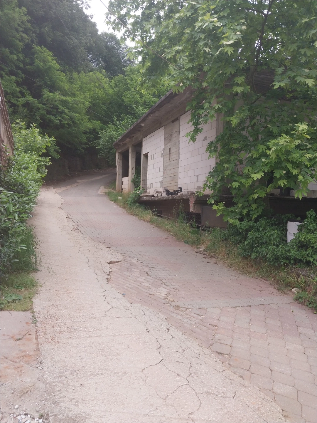 masukiye / 13530