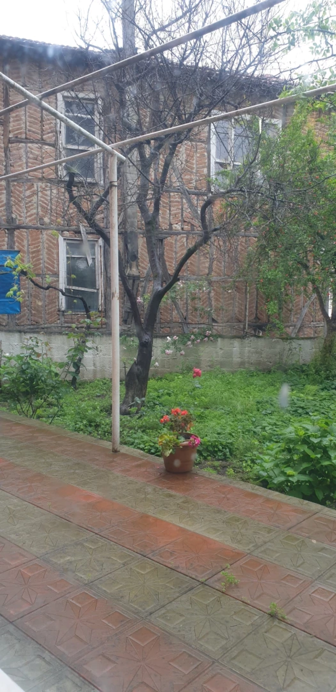 sarayli-koyu / 13074