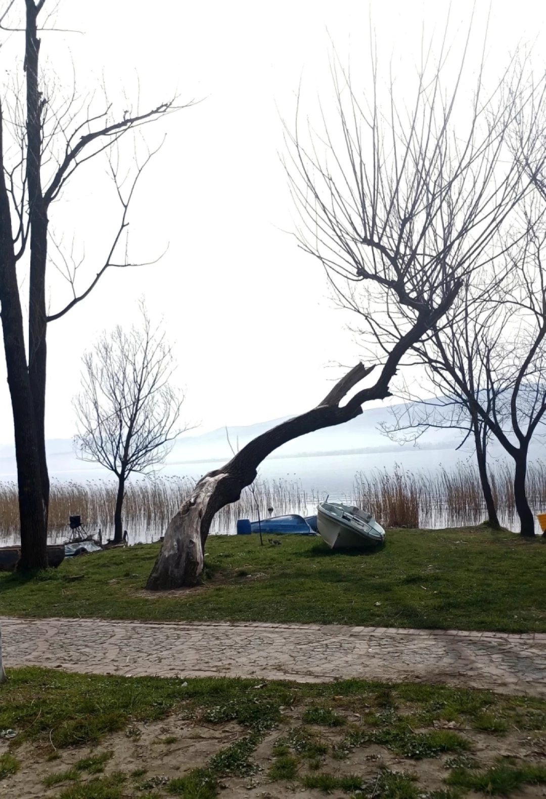 esme-kocaeli / 9690