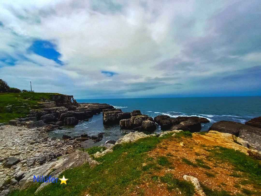 kandira-bagirganlisahil / 15246