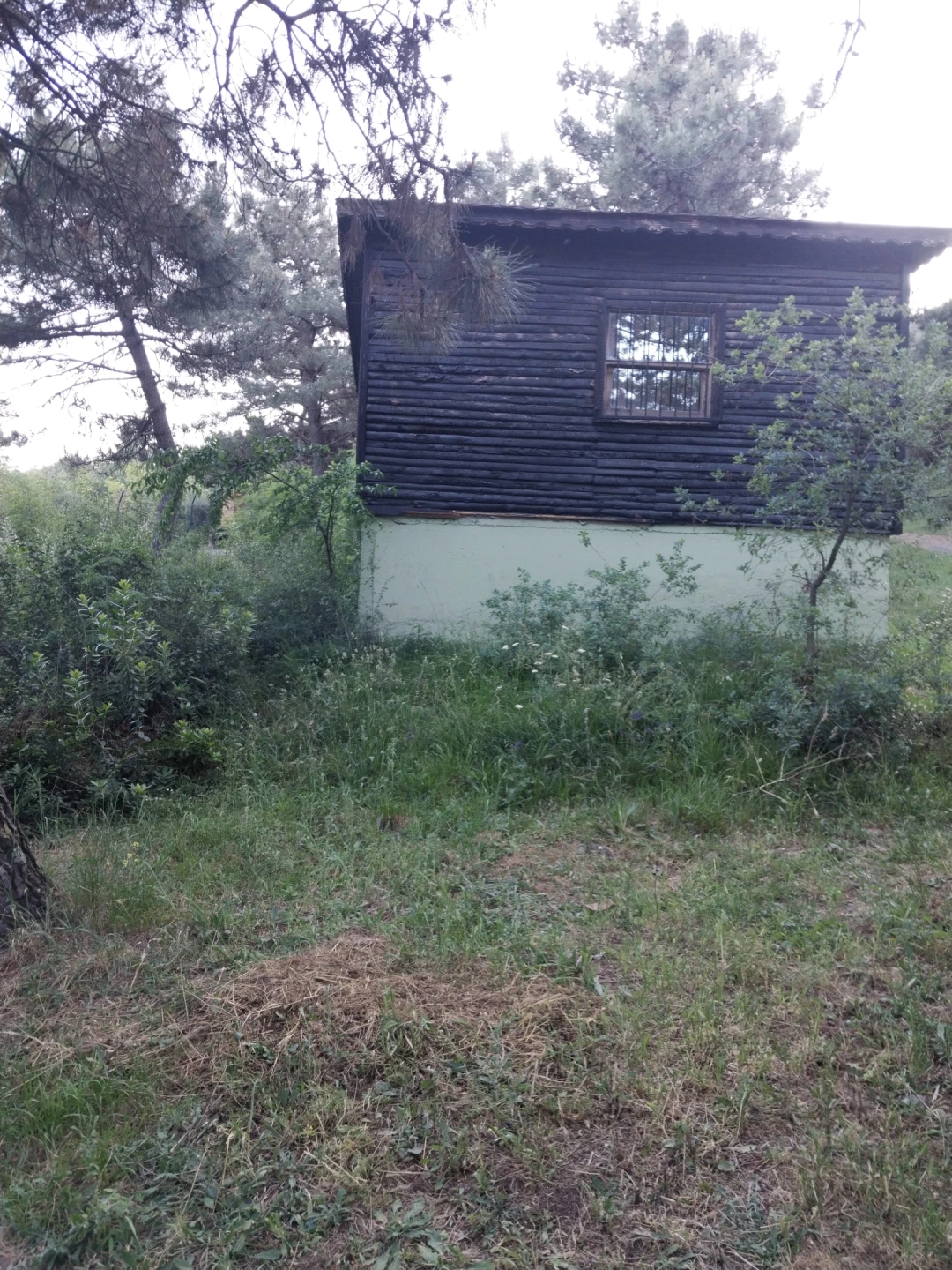 gebze / 13202