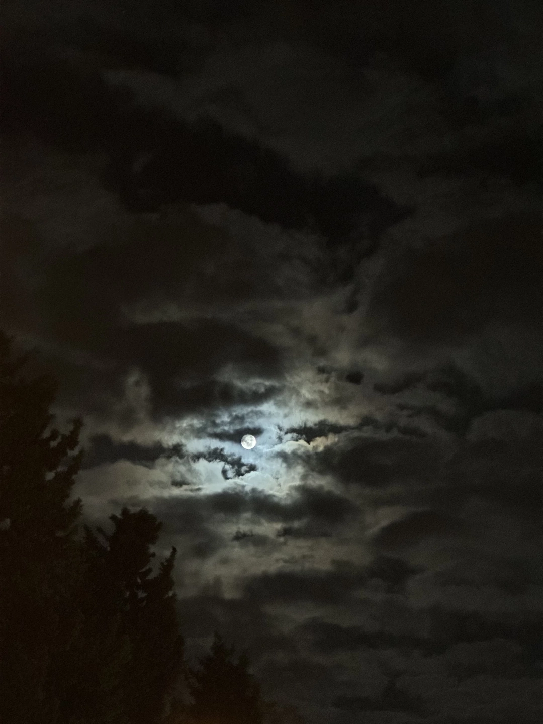 kocaeli-izmit-carsi-gar-tren-tranway-heykel-kolordu-orduevi-sekapark-marina-sahil-deniz / 8090