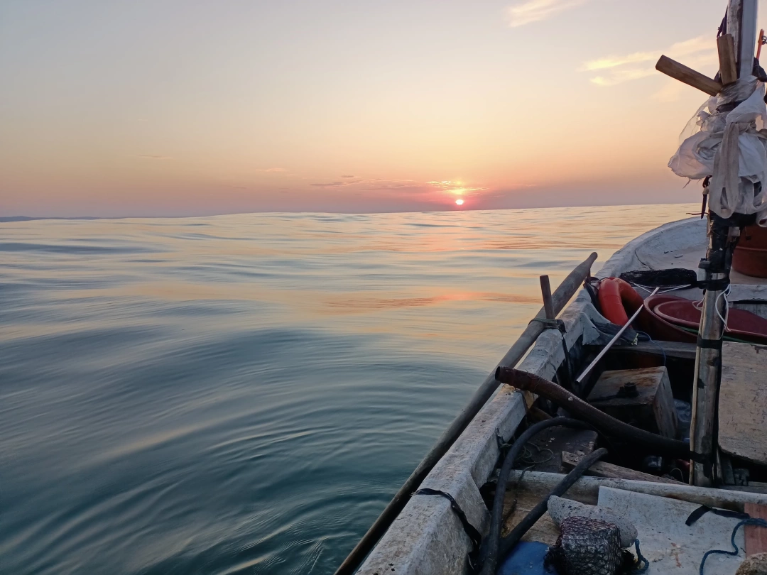 kandira-kefken-gunbatimi / 5790