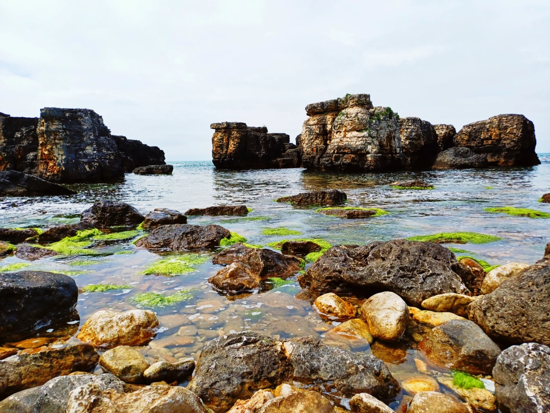 kandira-bagirganli-sahil / 15252