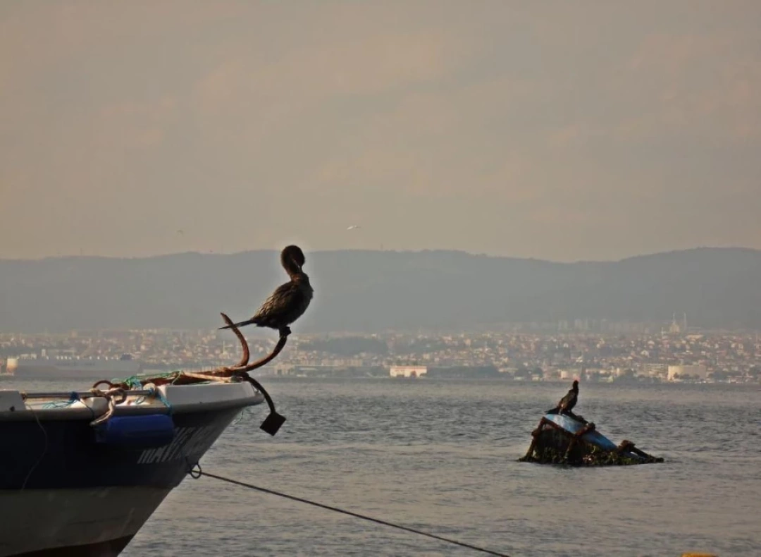 izmit-kocaeli-sevdamizkocaeli-fotograf / 15108