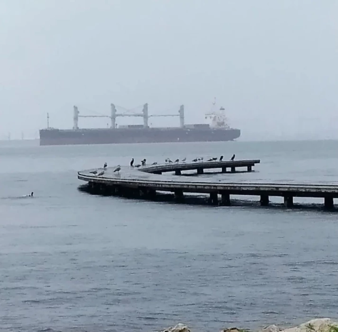 seka-seka-seka / 16452