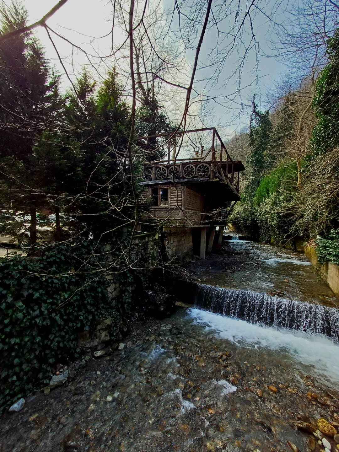 masukiye-kocaeli / 9696