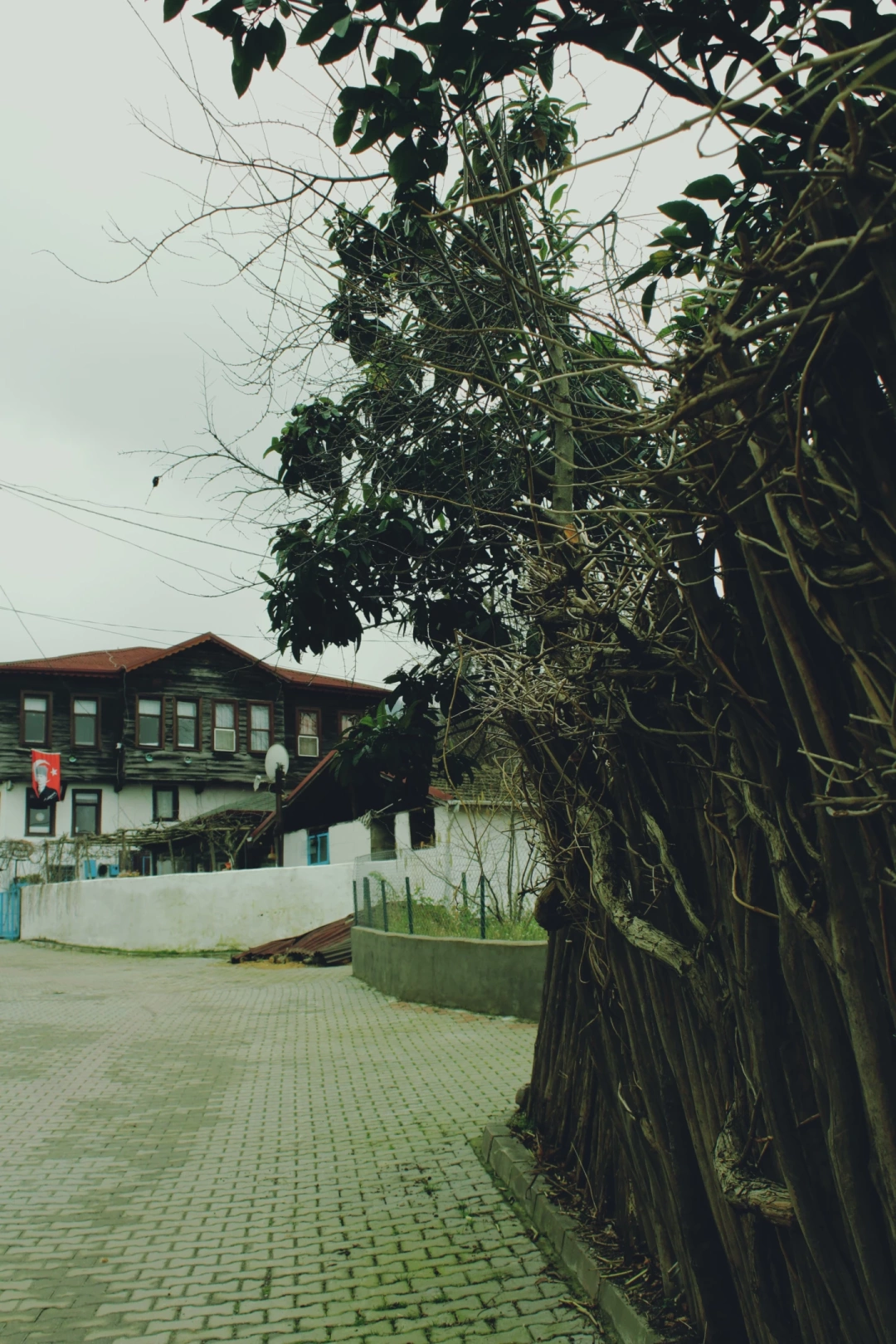 kocaeli-golcuk-sarayli-koyevi / 11108
