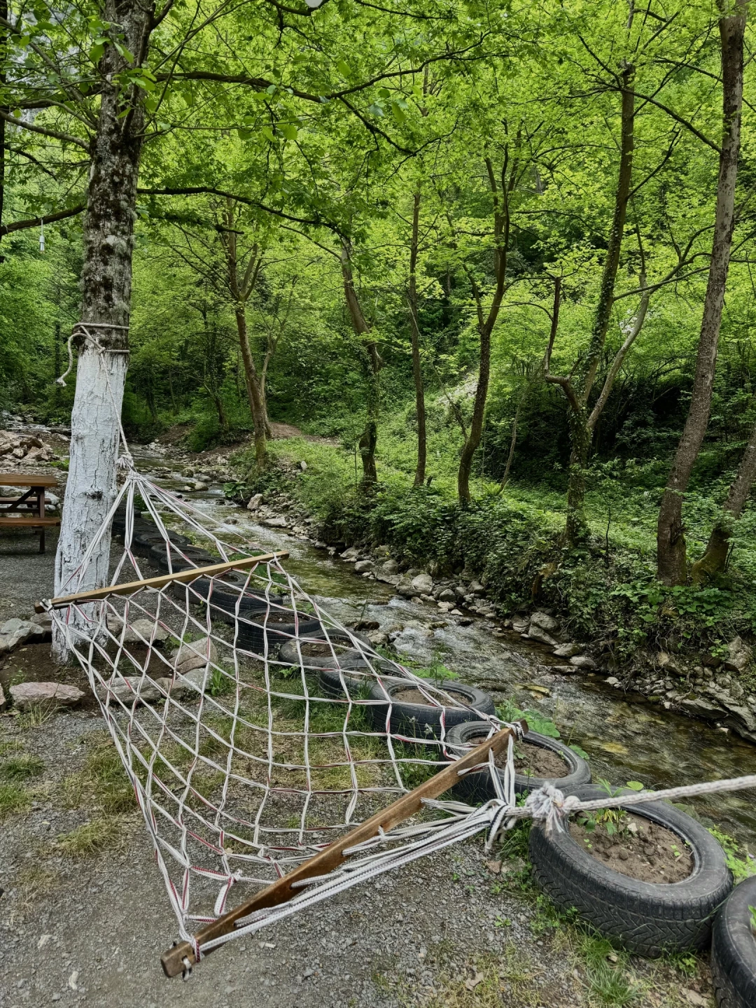 doga-servetiyekoyu-yuvacik / 10652