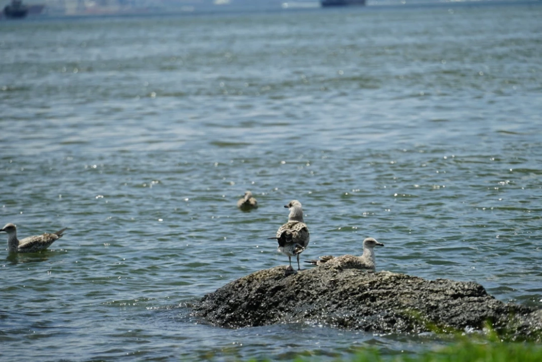 izmit-kocaeli-carsi-kolordu-orduevi-heykel-sekapark-halkevi-deniz-sahil-gokyuzu-sevdamizkocaeli / 8308