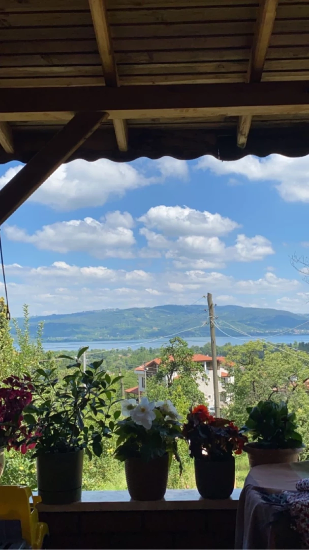 doga-sapanca-manzara-yesillik-cicek / 3596