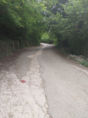 masukiye / 13534
