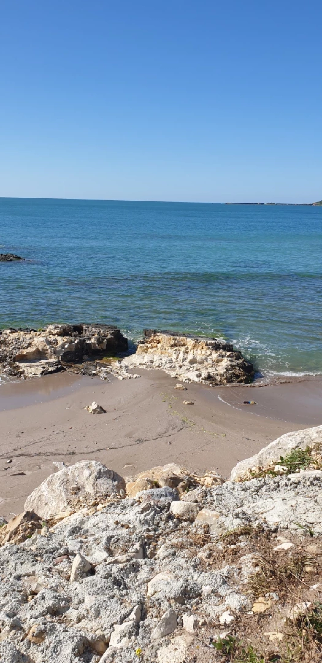 kandiracebeci / 12252