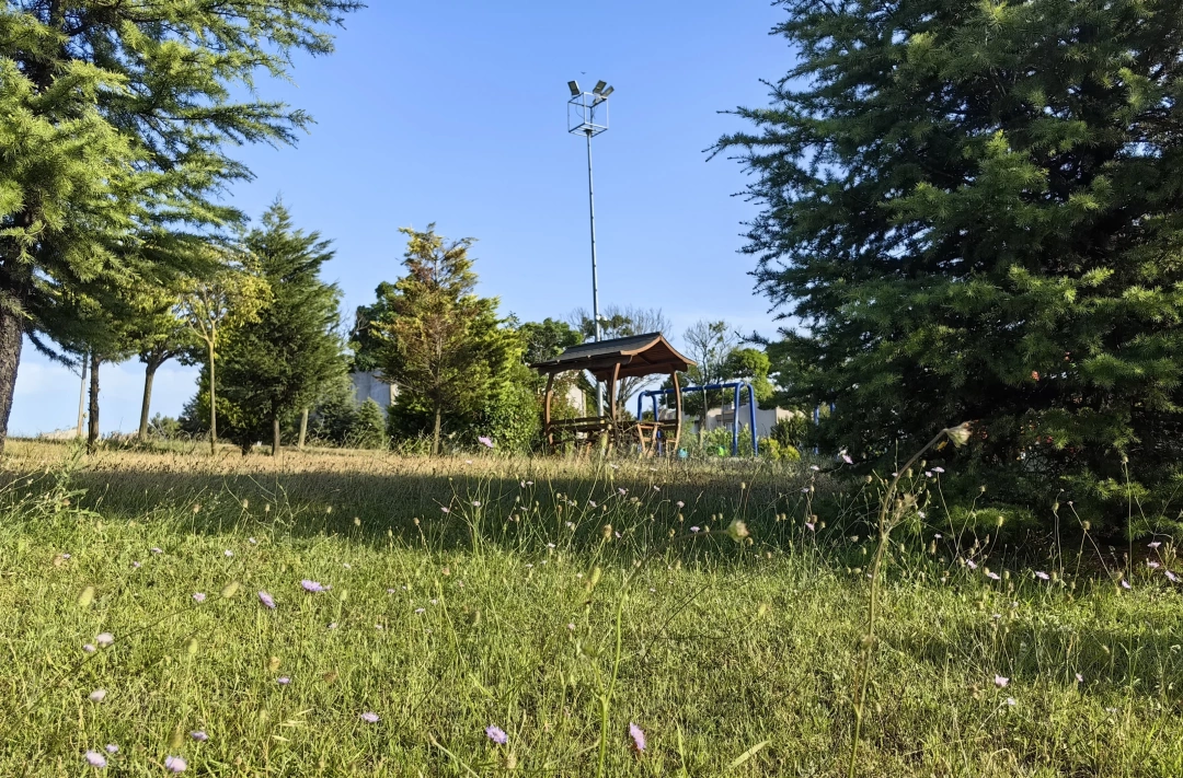 park-yesillik / 15418