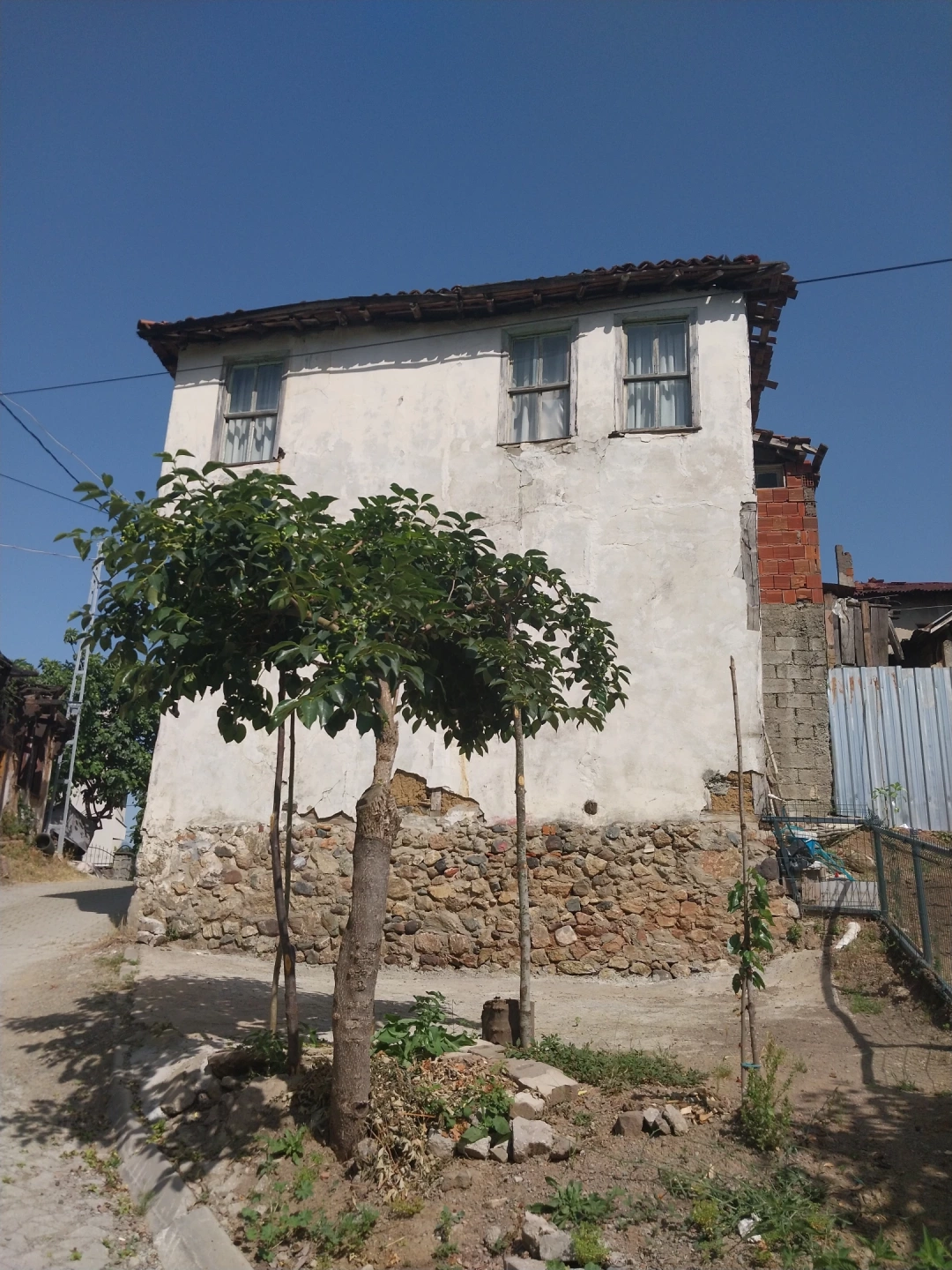 golcuksaraylikoyu / 14862