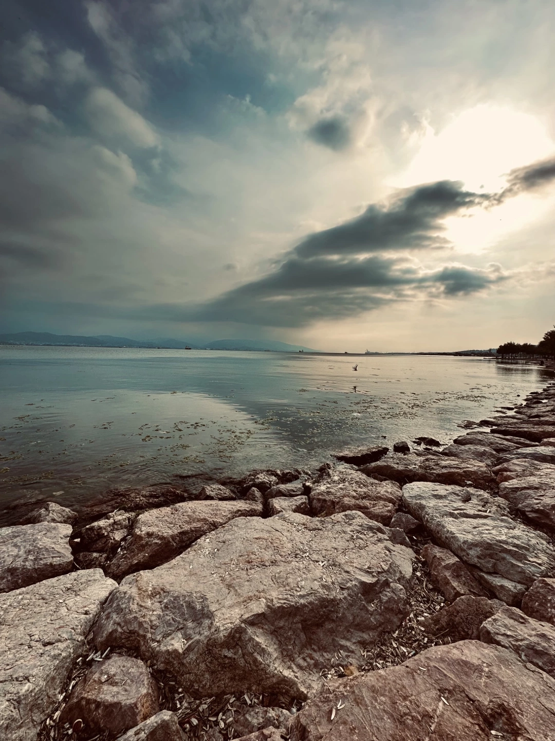 izmit-marina / 462