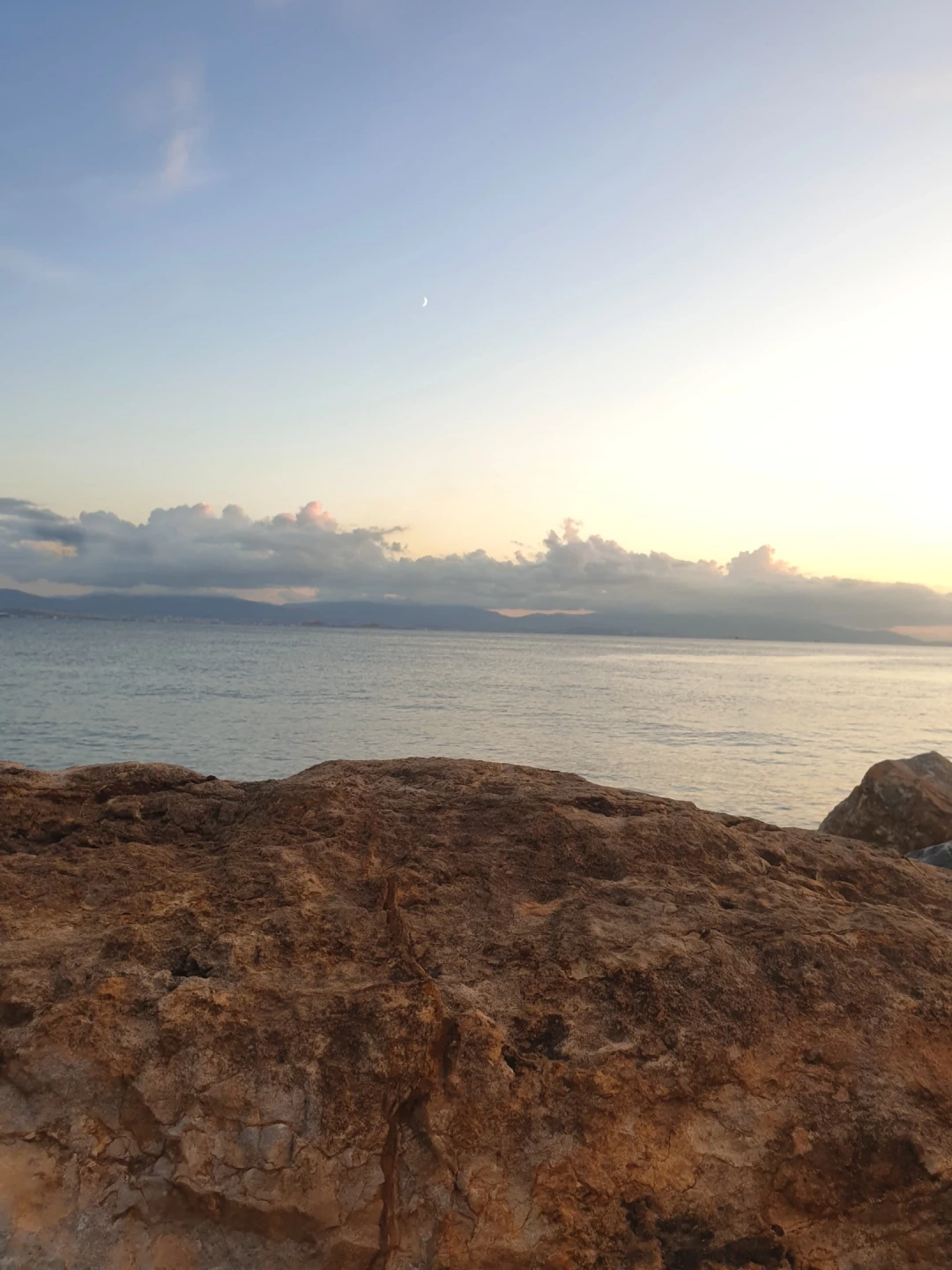 sevdamizkocaeli / 16118