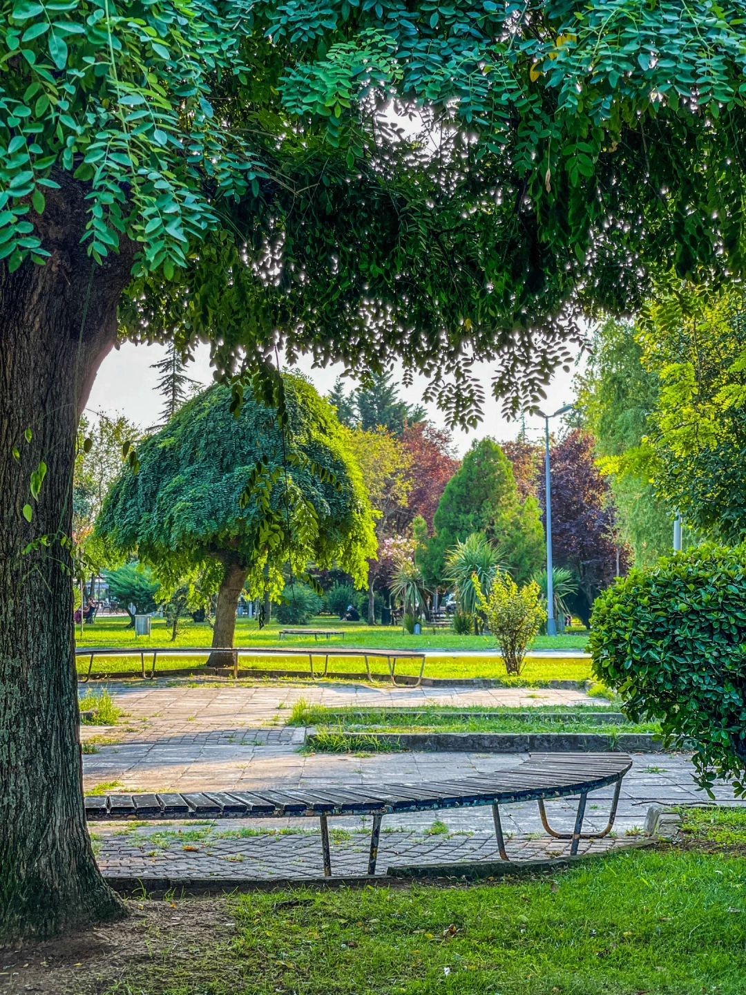 kocaeli-izmit-orduevi-halkevi-izmitcarsi-sahil-deniz-heykel-basiskele-yuvacik-sekapark-kolordu-sekakamp-akmese / 4880