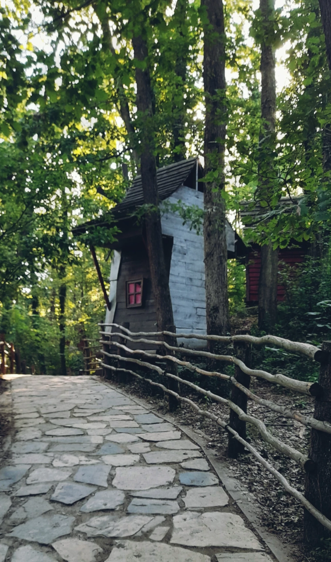 kocaeli-ormanya / 10380