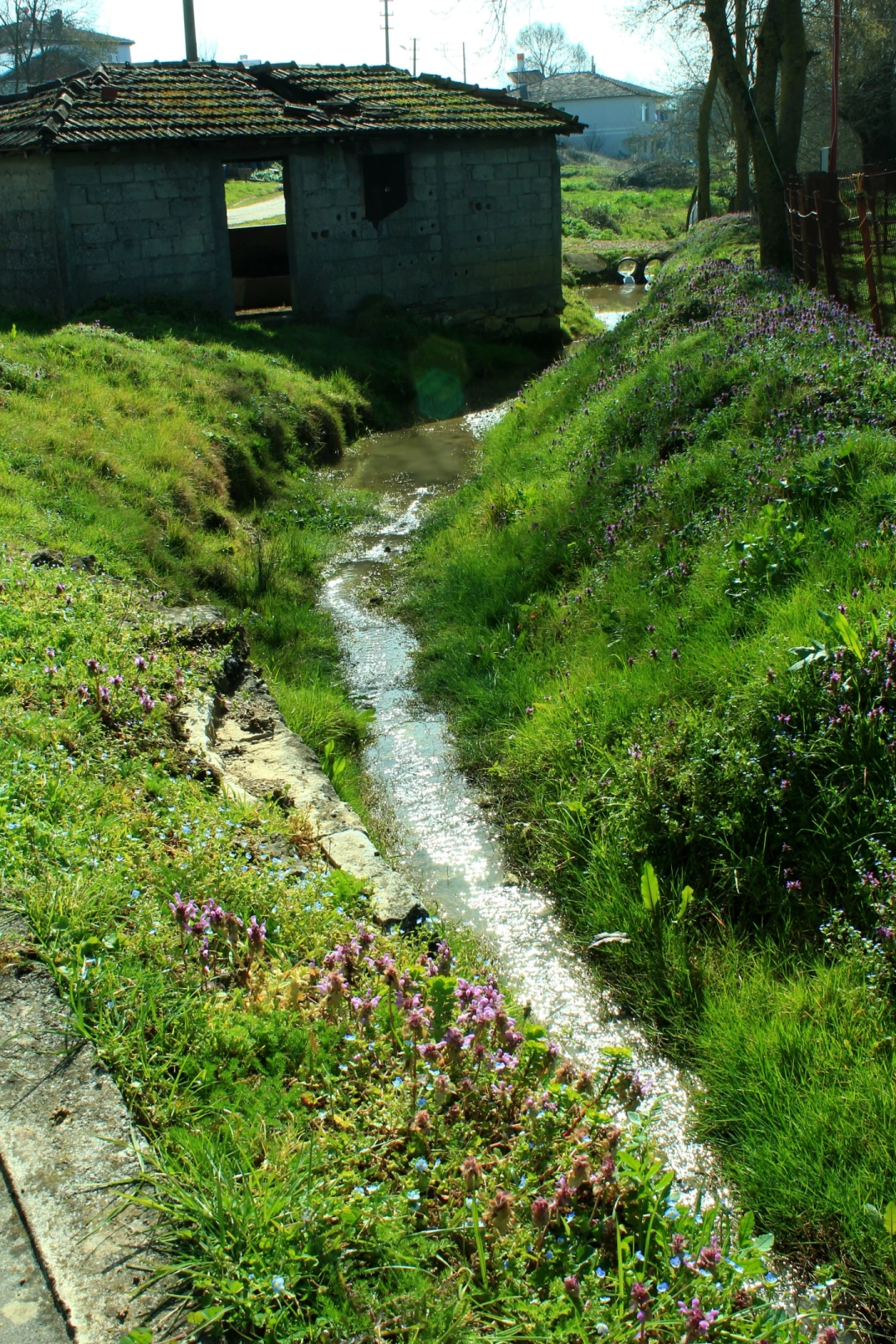 kocaeli-derince-ishakcilarkoyu / 10336