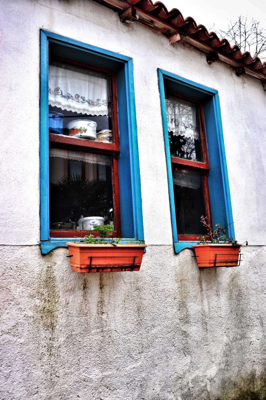 saraylikoyu-golcuk-kocaeli / 10636