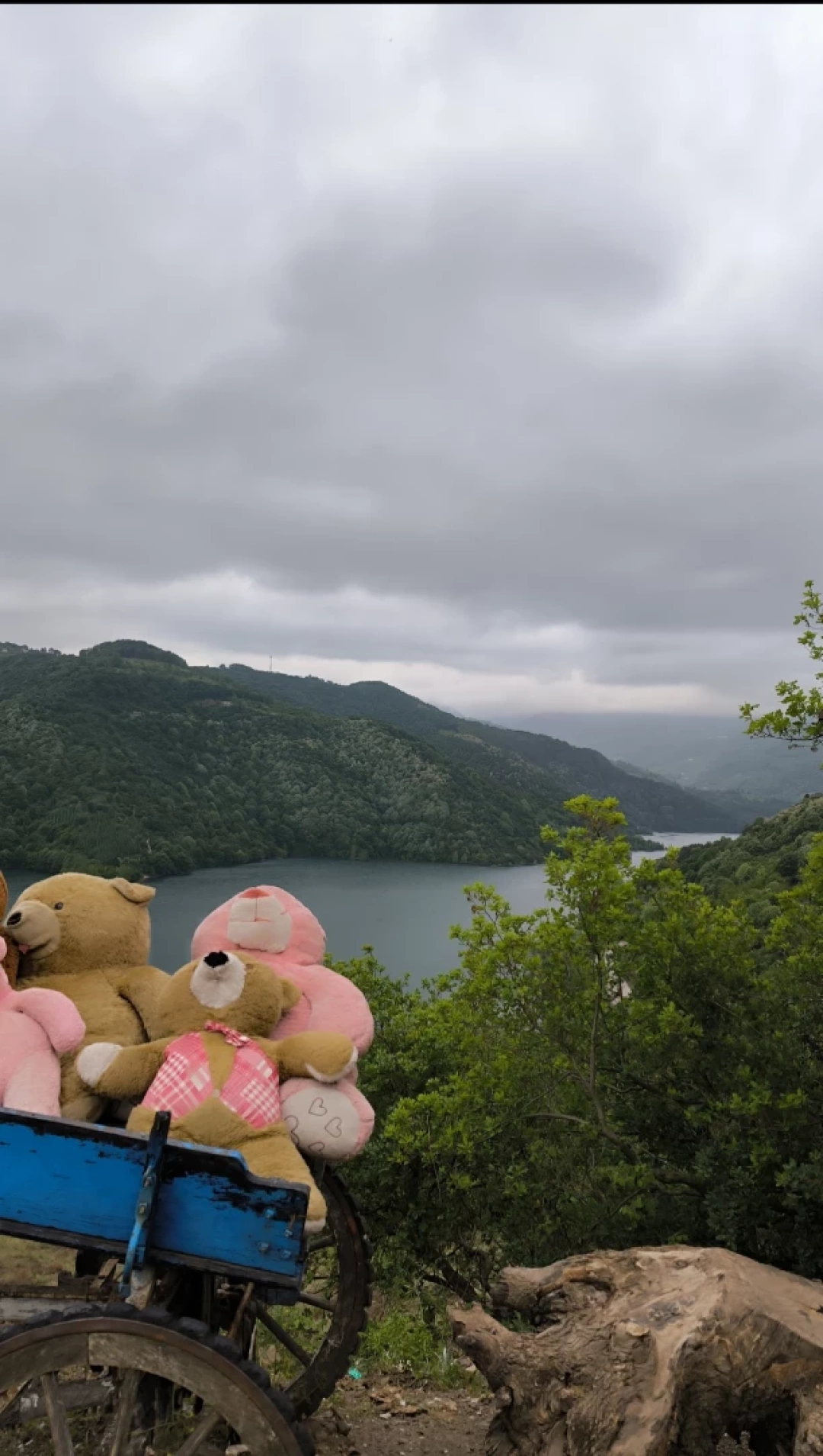 yuvacik-kartepe-manzara / 11136