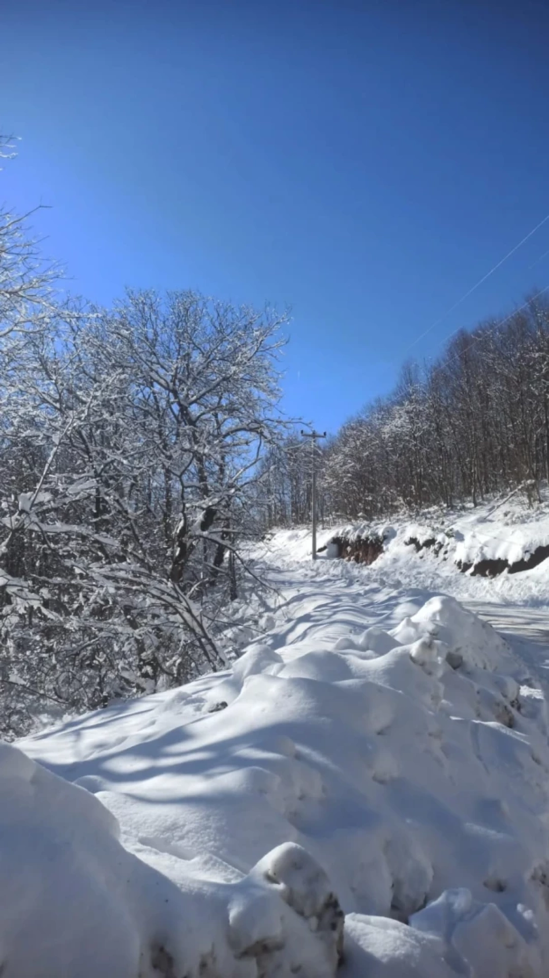 kartepekayak / 10936