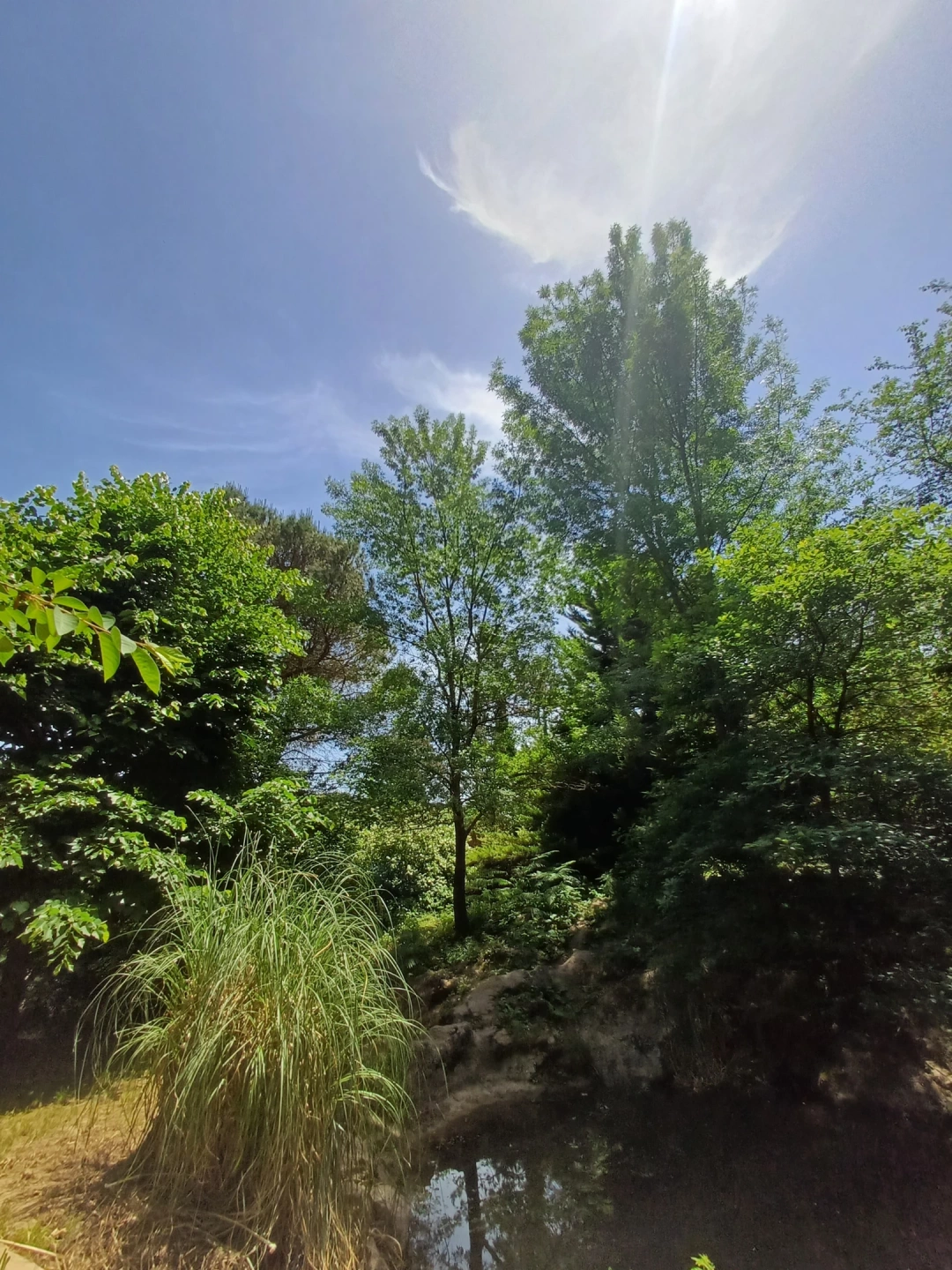 kentormansakinlik / 13980