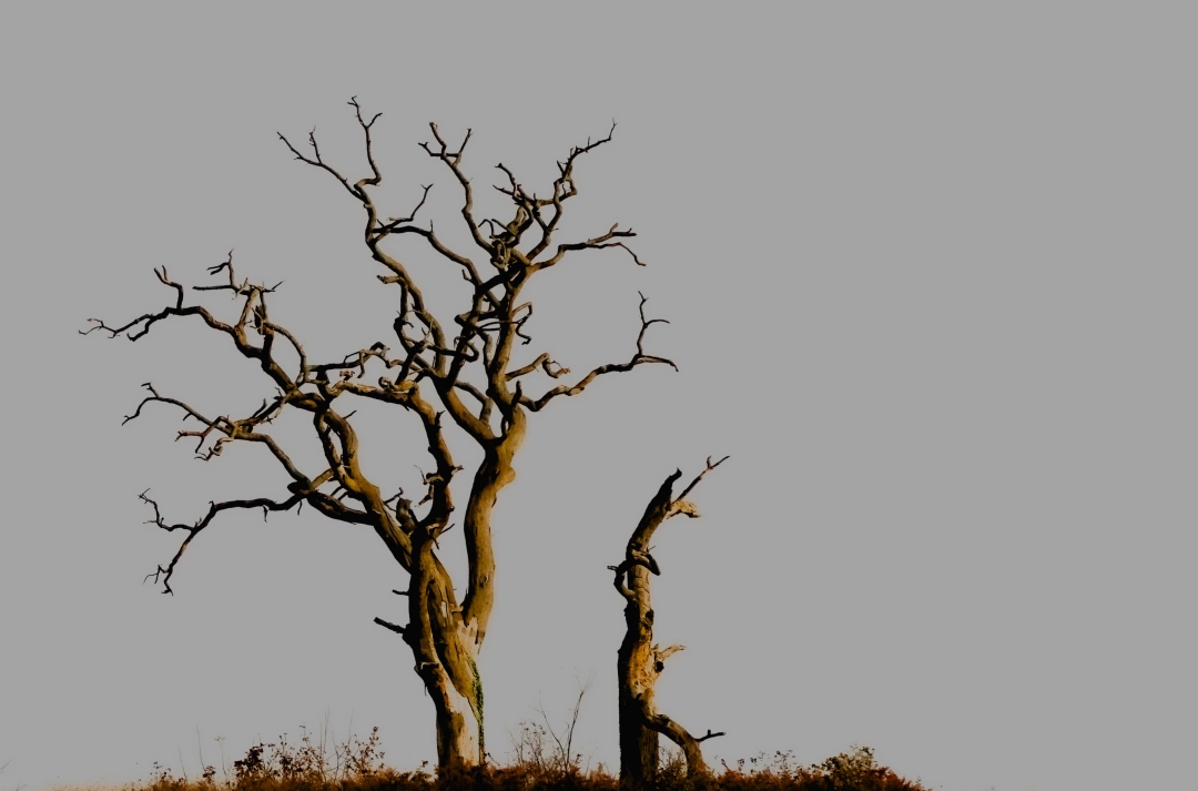 anne-ve-yavrusu / 9580