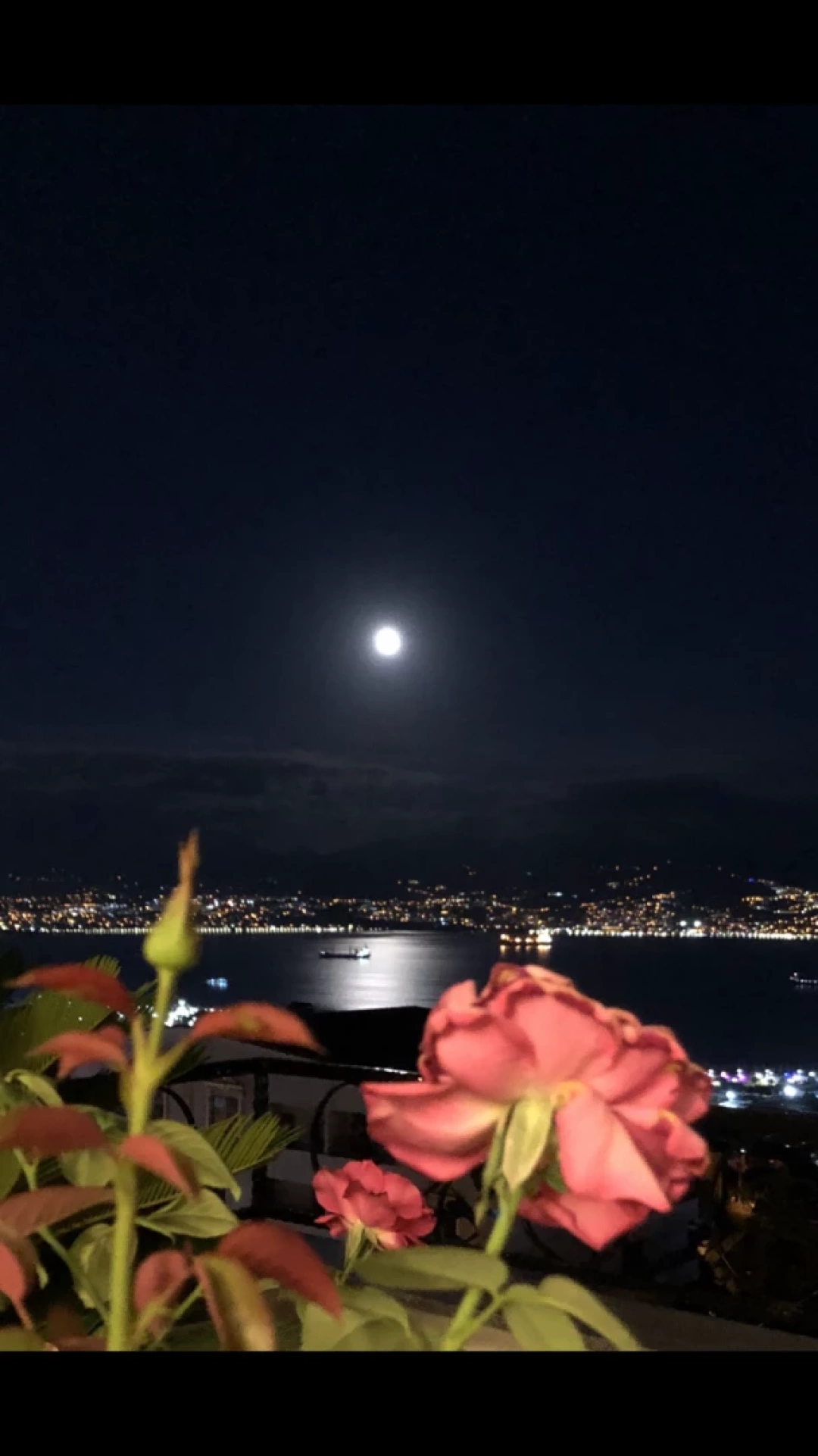 korfez-yakamoz / 8536