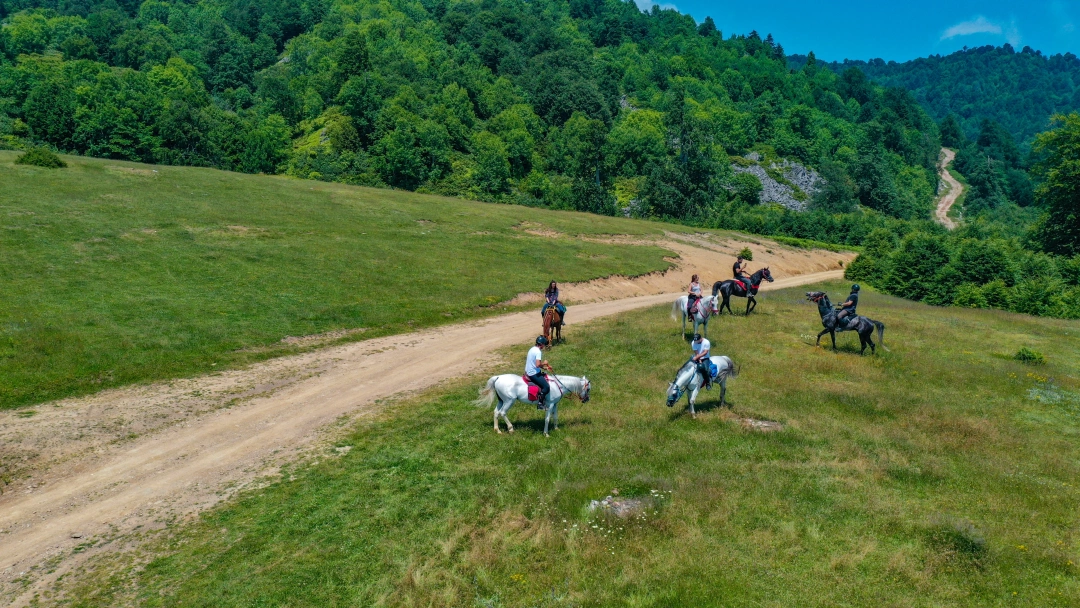 kartepe-altioluk-yaylasi / 9136