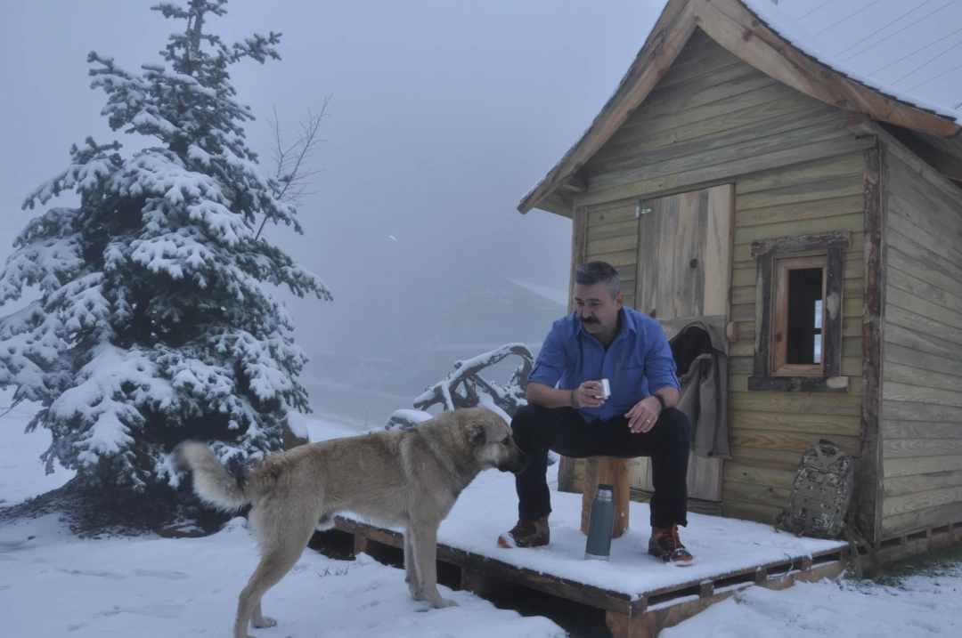 kar-kocaeli-kopek-kartepe-kar-kartepe-kopek-kocaeli / 8980