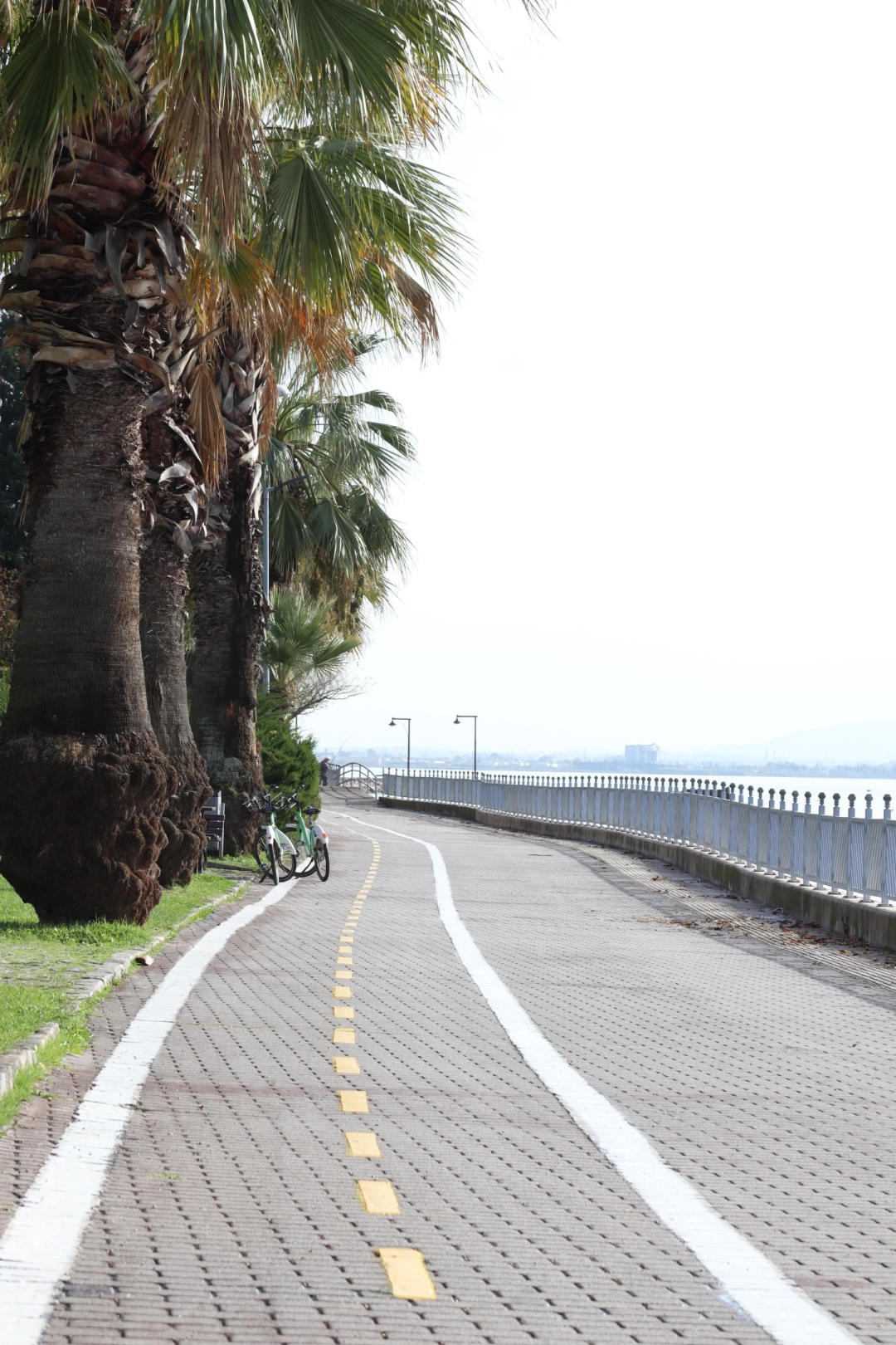 yerli-ve-milli-kaliforniyamiz-plajyolu-sahil-yuruyusyolu-bisikletyolu / 7080