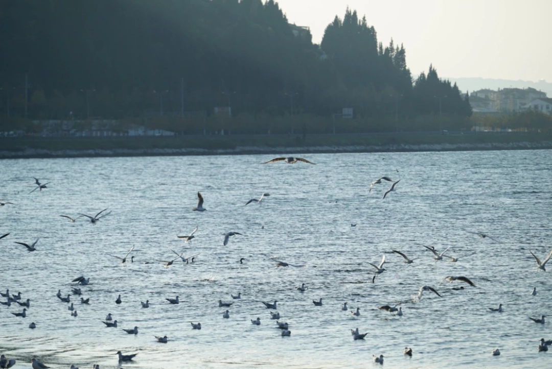 izmit-deniz-sahil-gokyuzu-kocaeli-kis-sonbahar-saatkulesi-heykel-kartepe / 7661