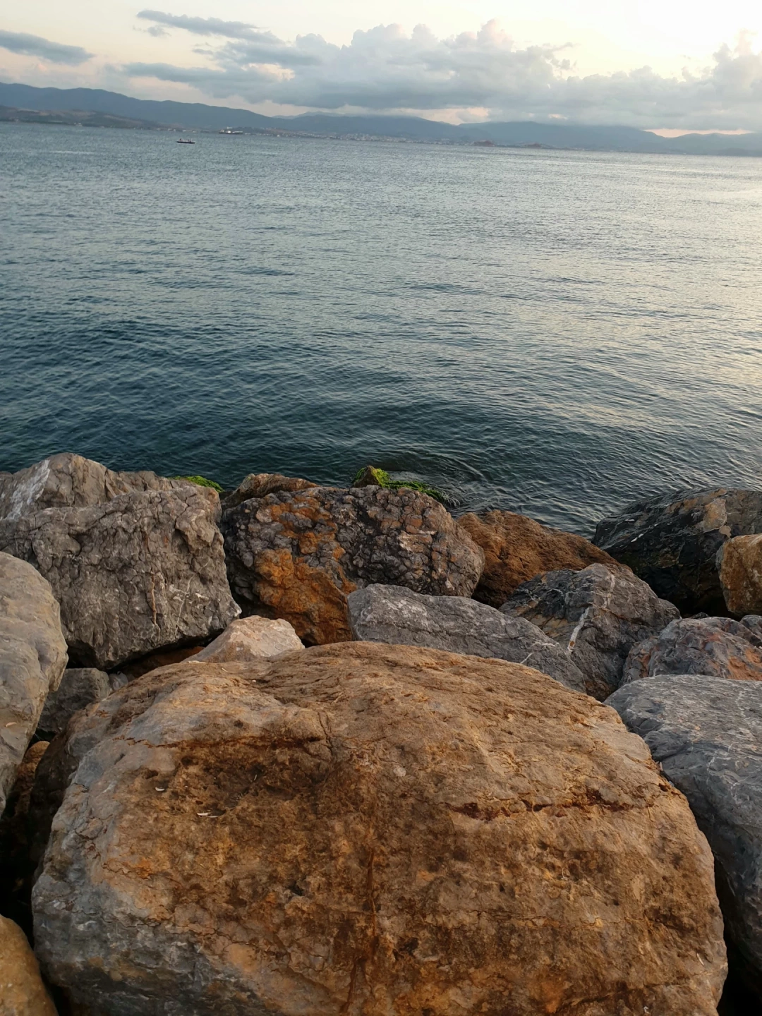 sevdamizkocaeli / 16117